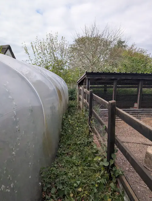 Cleared passage behind gym